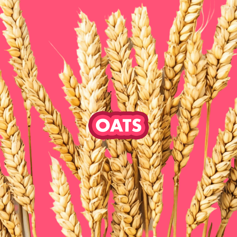 Oats